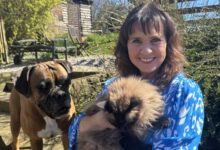 Coleen Nolan