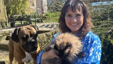 Coleen Nolan