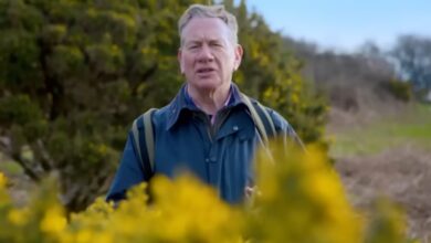 Michael Portillo