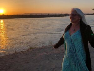 chimene diaz net worth